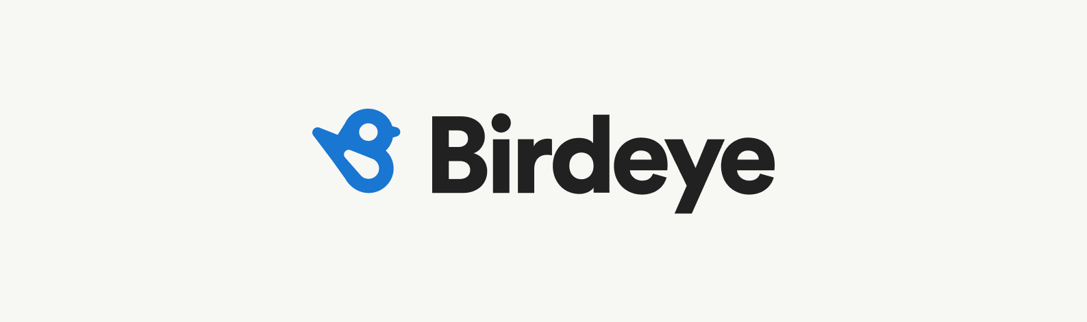 Birdeye